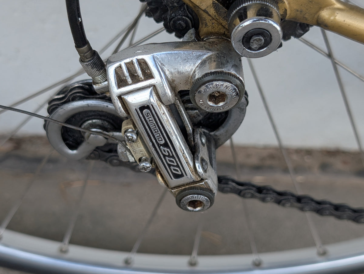 RIH Amsterdam Vintage-Rennrad | Shimano 600, Stahlrahmen, RH 57