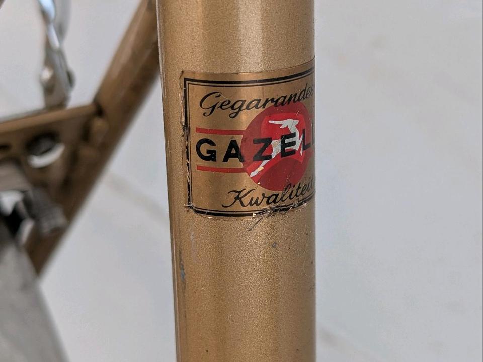 Gazelle Tour de France Halbrenner – Detailansicht