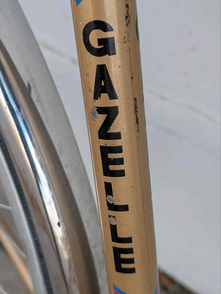 Gazelle Tour de France Halbrenner – Detailansicht