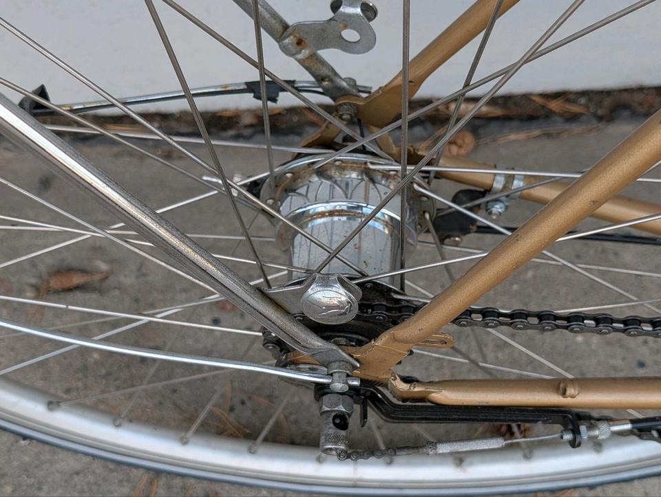 Gazelle Tour de France Halbrenner – Detailansicht